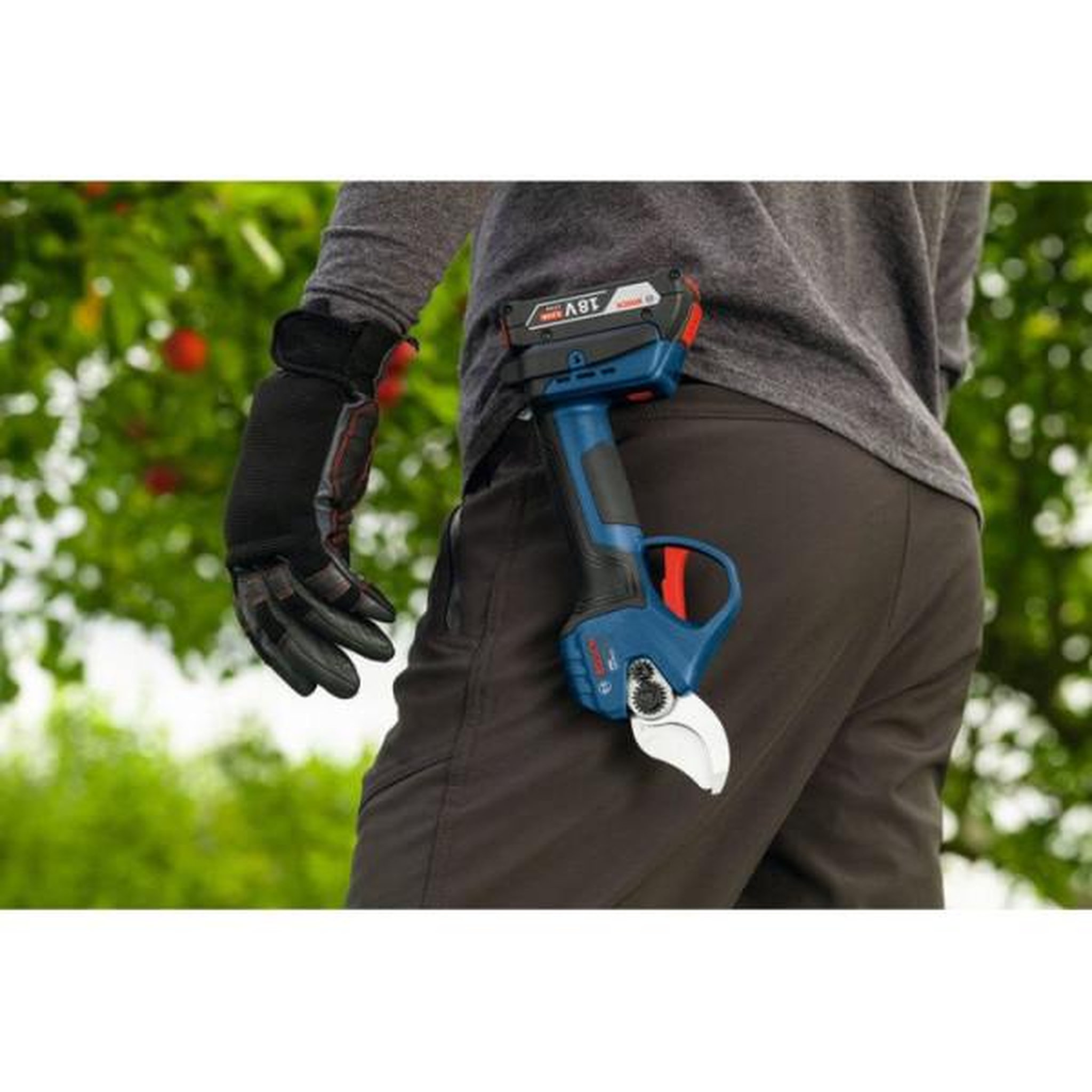 Voir la diapositive 5 : BOSCH Sécateur GGP 18V-32 solo
