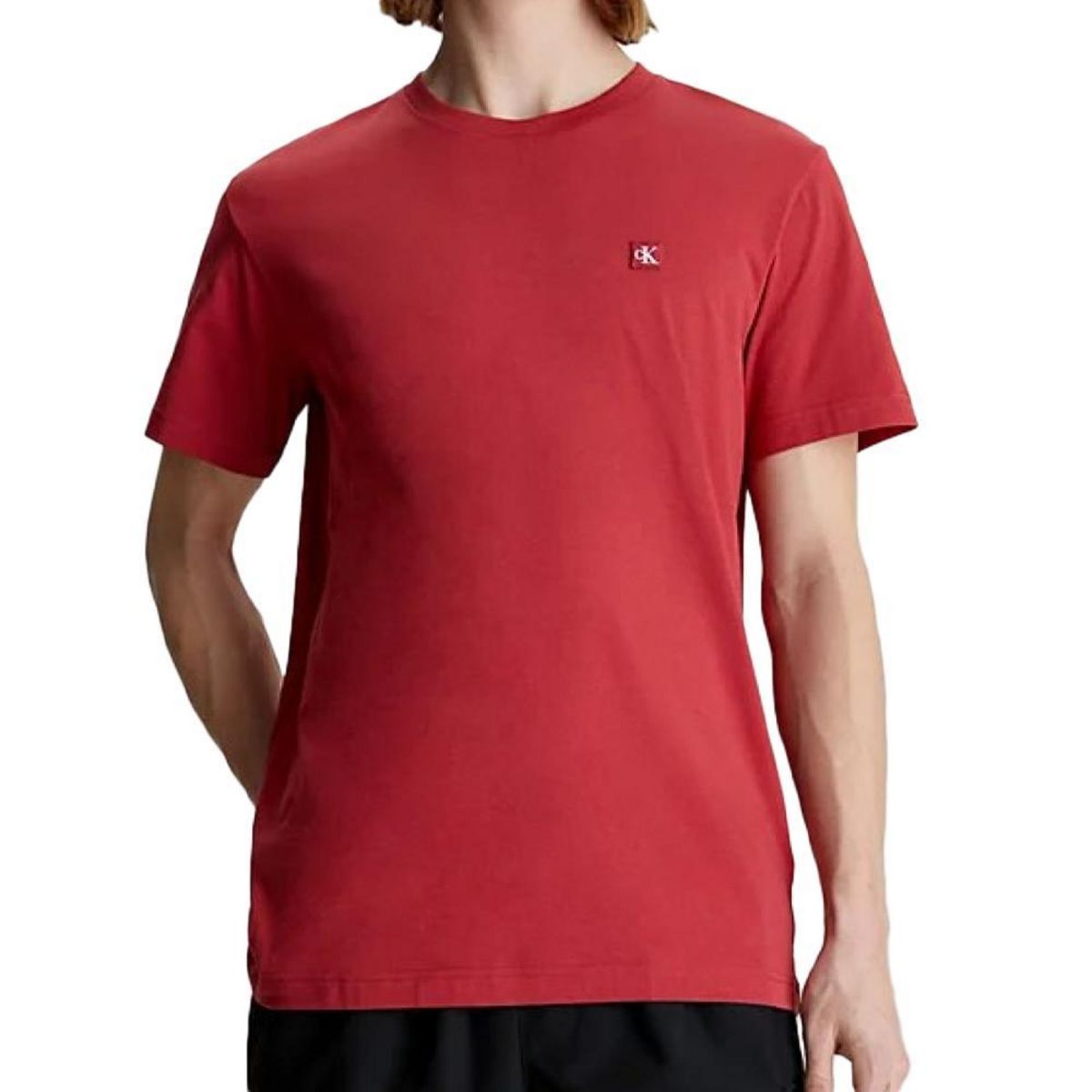 CALVIN KLEIN JEANS T shirt  Homme Calvin Klein Jeans  Embro Badge