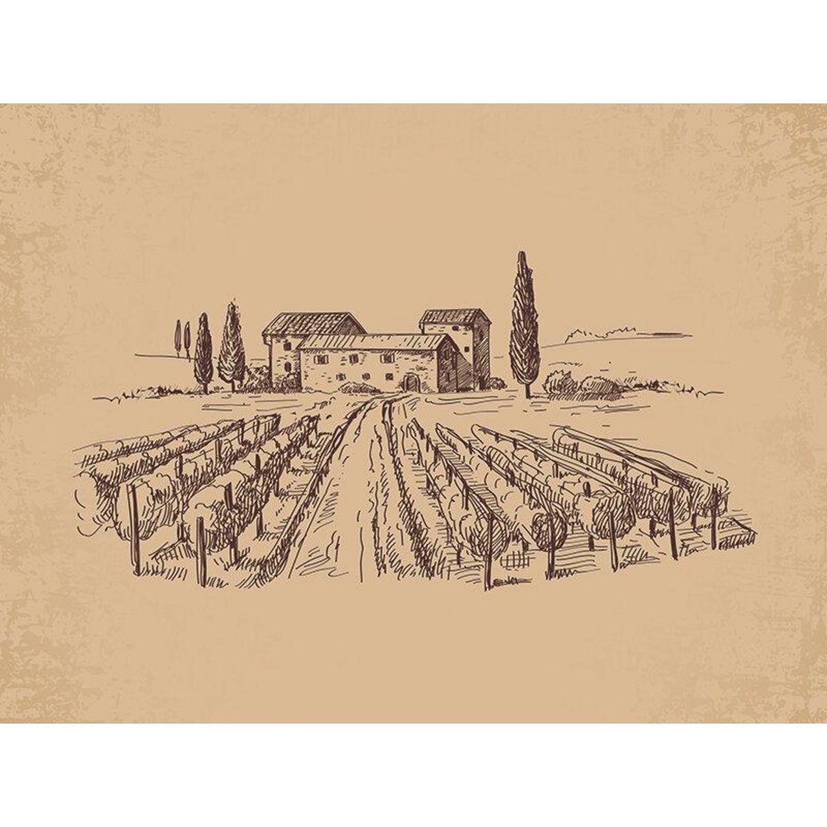 Smartbox Passion œnologie - Coffret Cadeau Gastronomie