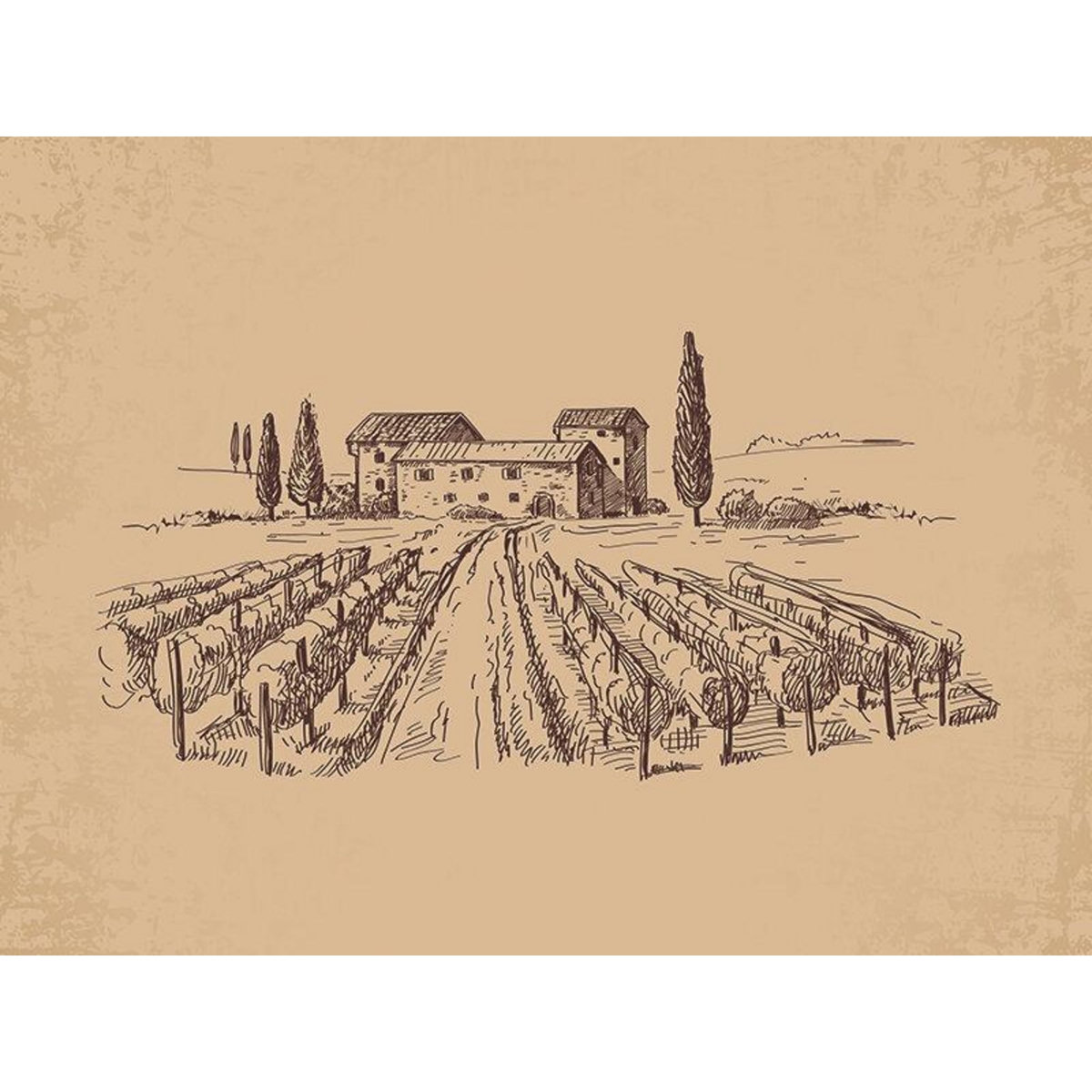 Smartbox Passion œnologie - Coffret Cadeau Gastronomie