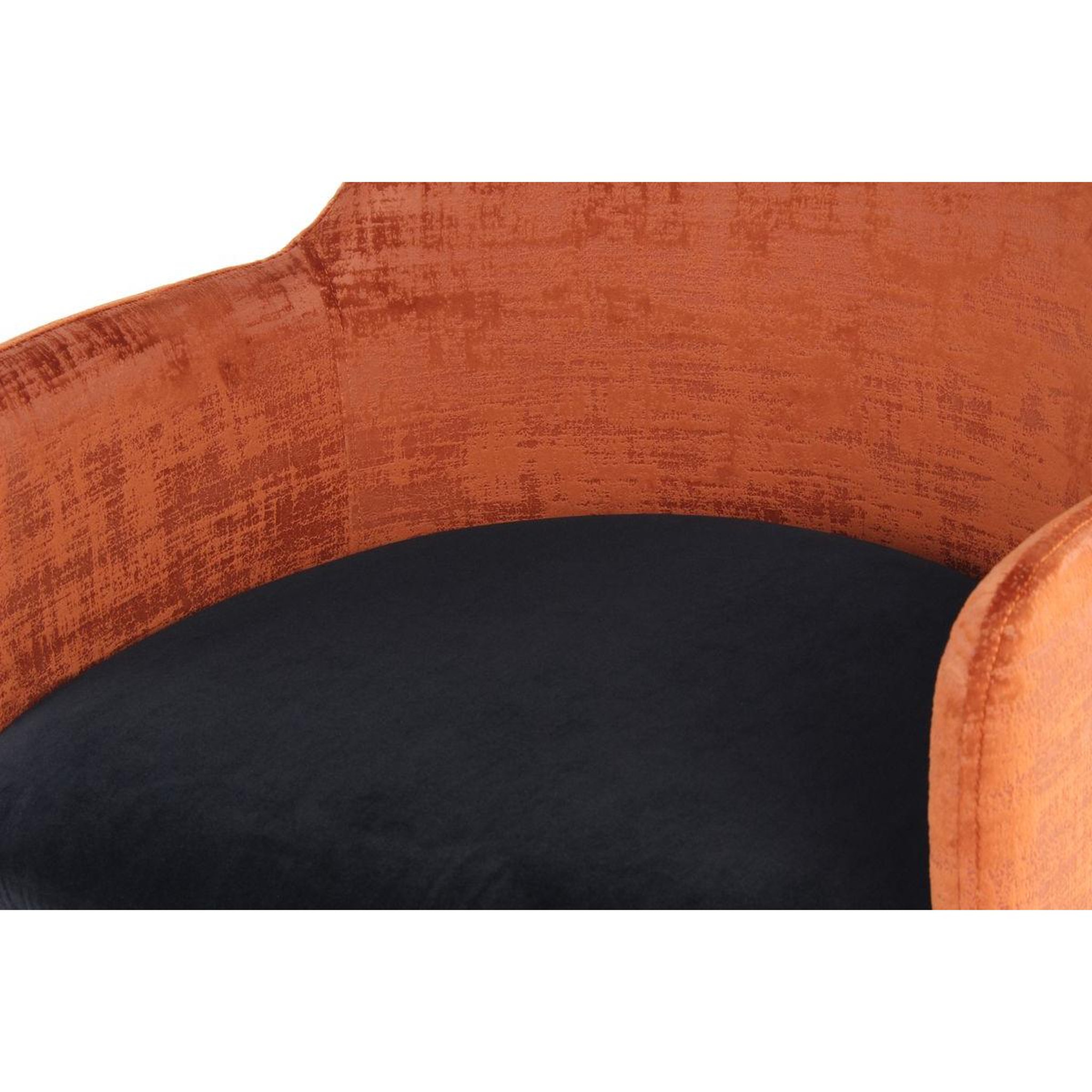 Voir la diapositive 3 : Paris Prix Chaise déco en velours  richard  85cm marron & noir