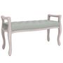 Voir la diapositive 2 : VIDAXL Banc Gris clair 110x45x60 cm Velours
