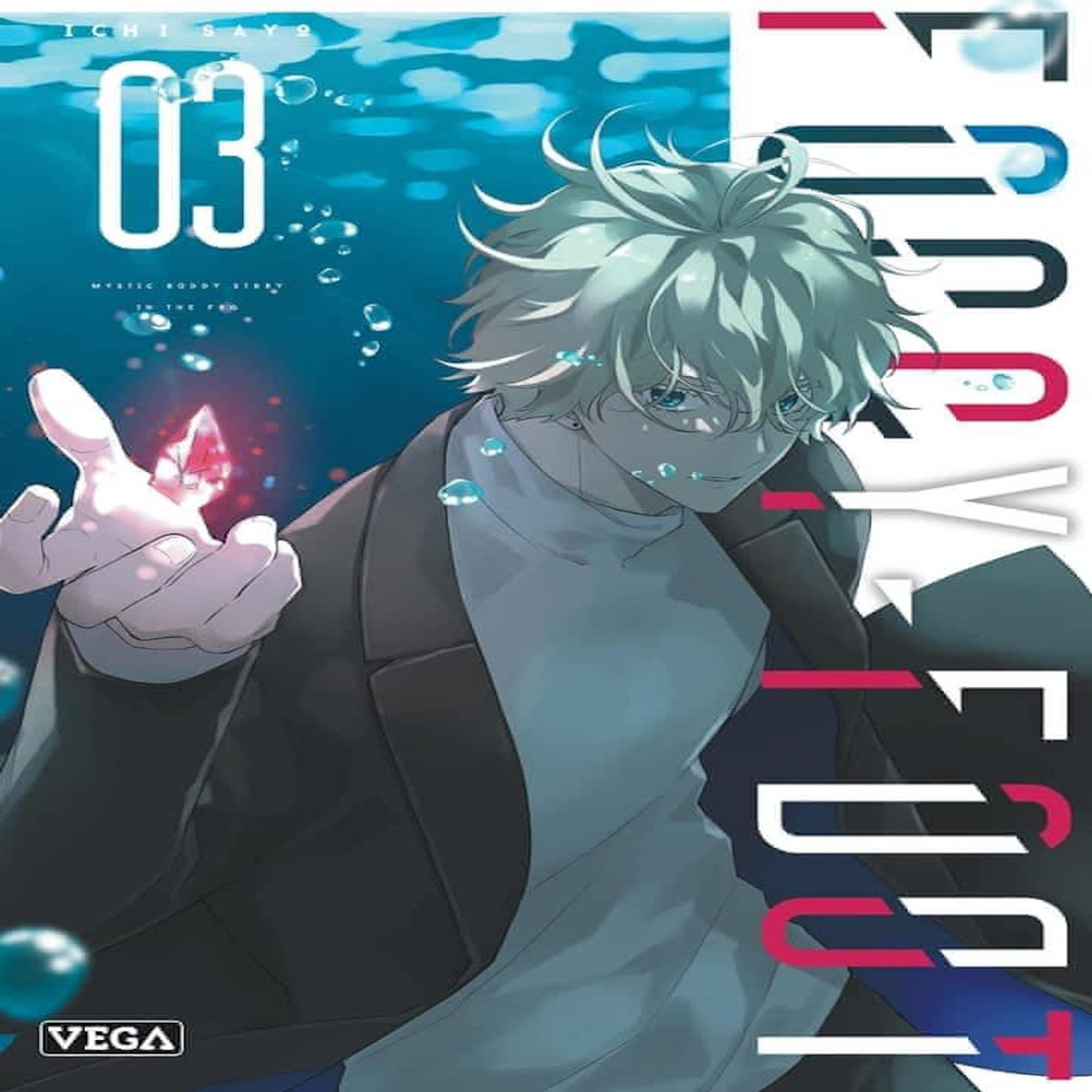 FOGGY FOOT TOME 3 , Sayo Ichi