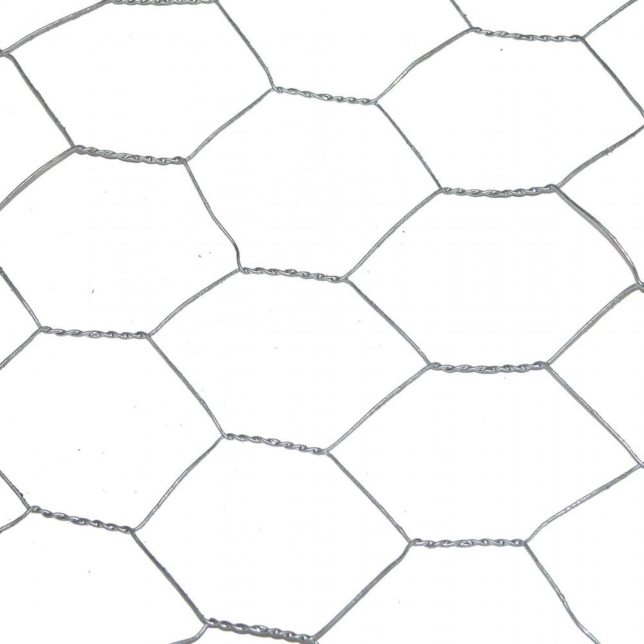 CENTRALE BRICO Grillage pour animaux triple torsion gris, H.1 x L.3 m, maille H.40 x l.40 mm