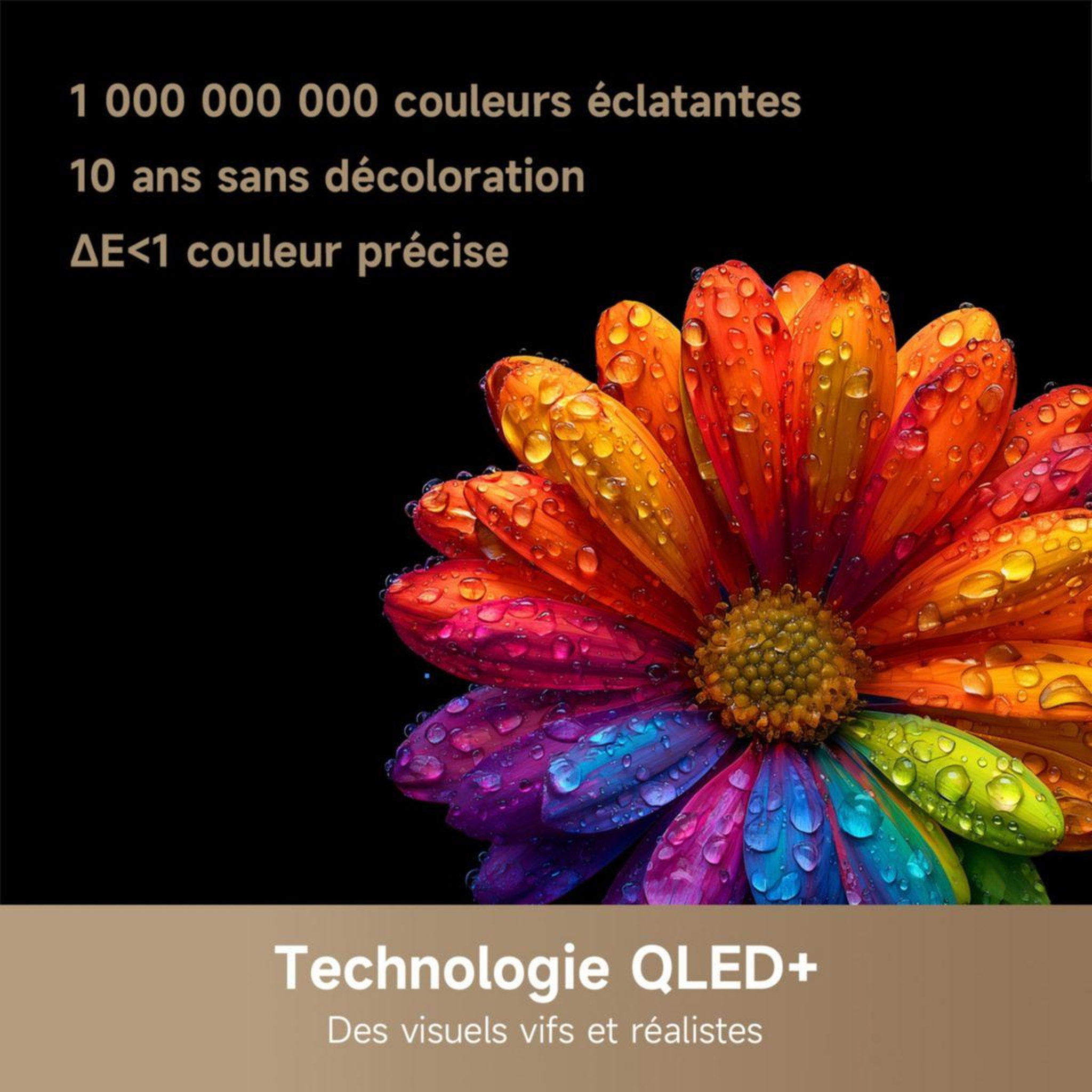 Voir la diapositive 3 : DREAME Tv qled 55q100 (2026) 55  (140 cm)
