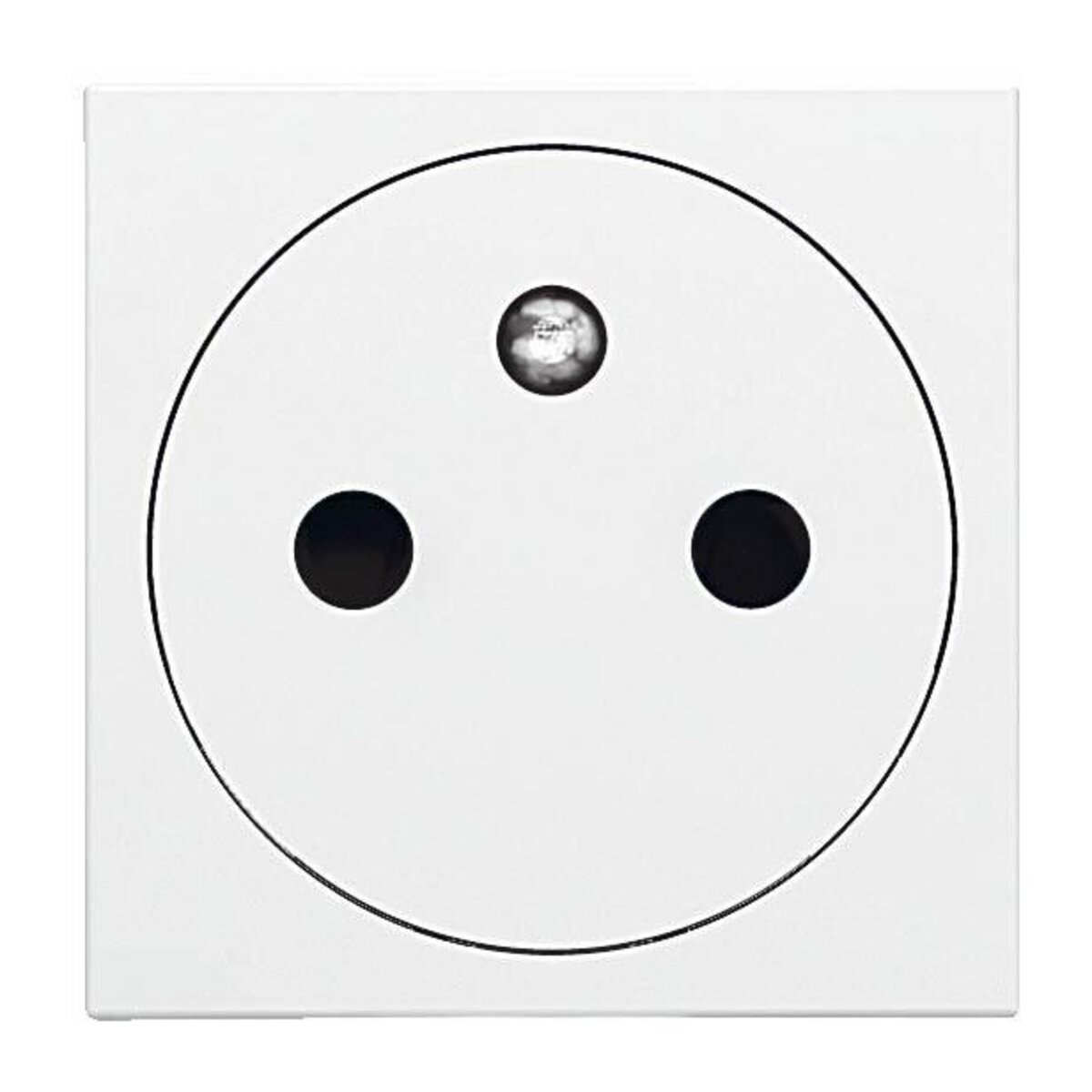 Legrand Mosaic prise 2 pôles + terre puits affleurant