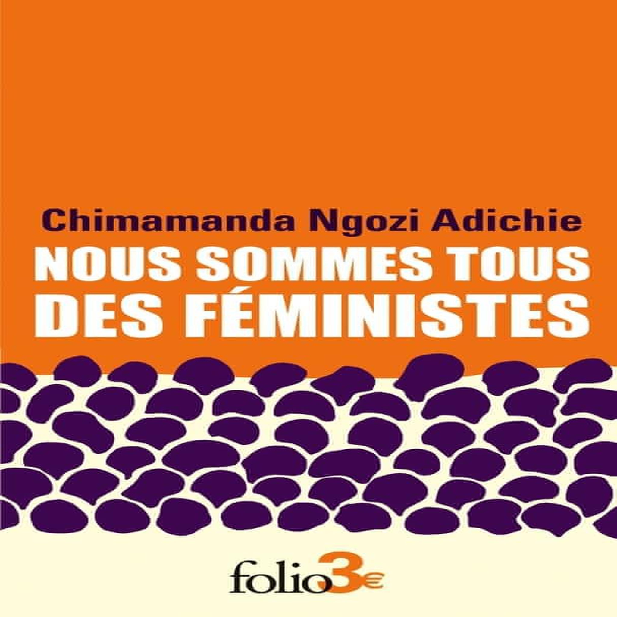 NOUS SOMMES TOUS DES FEMINISTES. SUIVI DE LE DANGER DE L'HISTOIRE UNIQUE, Ngozi Adichie Chimamanda