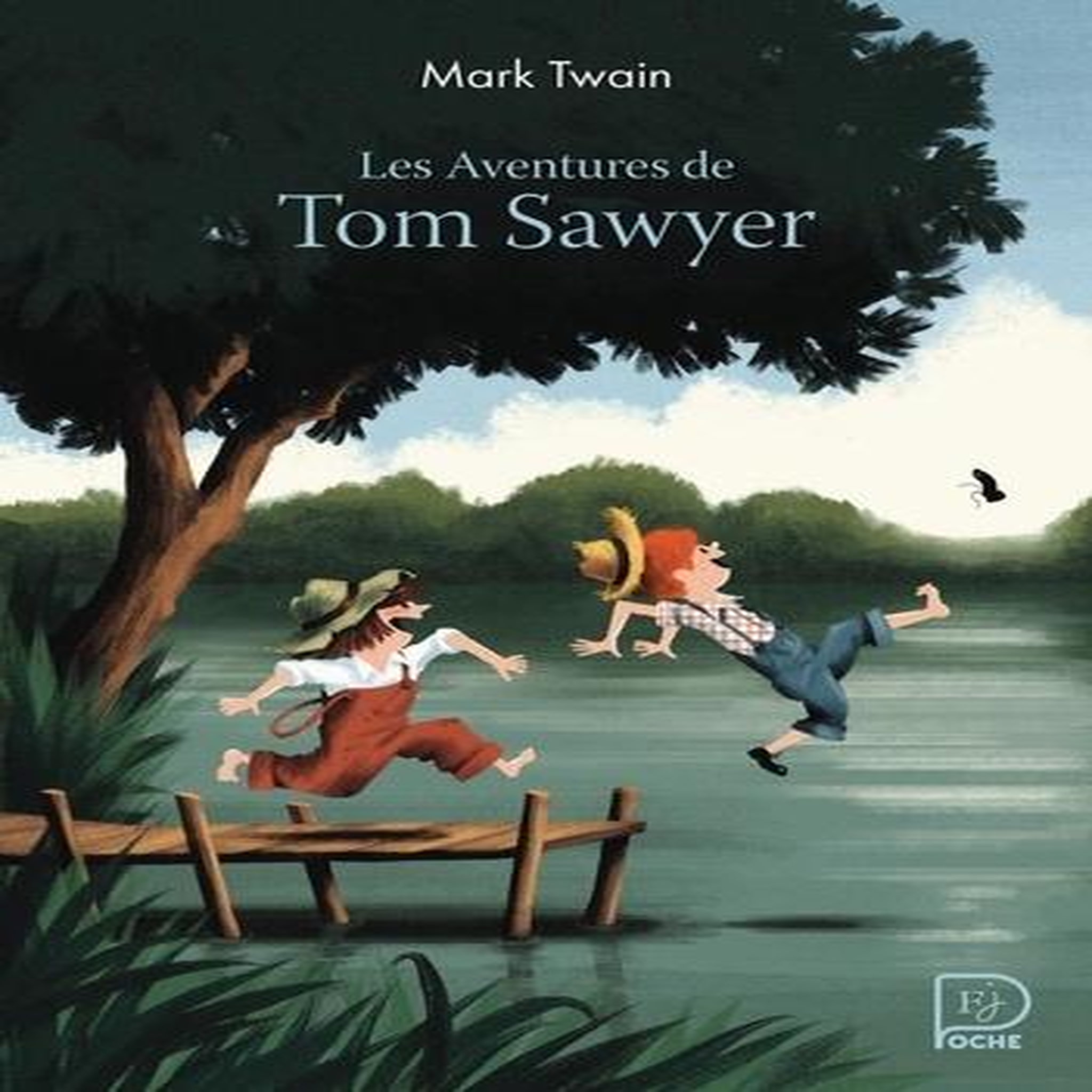 LES AVENTURES DE TOM SAWYER, Twain Mark