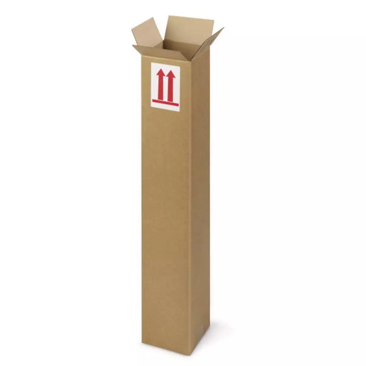 RAJA 15 cartons d'emballage allongés 50 x 10 x 10 cm - Simple cannelure