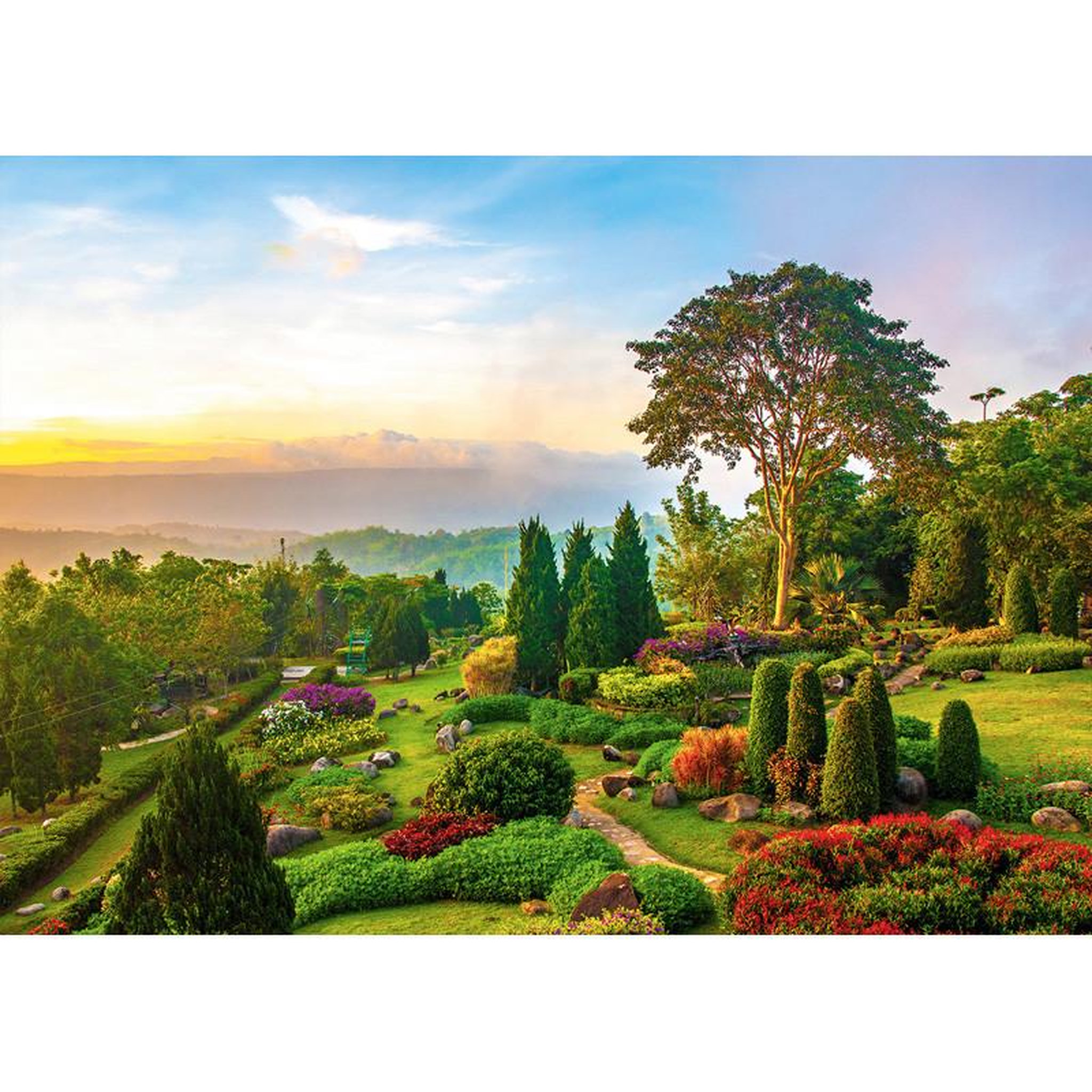 Voir la diapositive 2 : ALIZE Puzzle 1000 pièces Jardin sur la colline – Paysage de nature – Adulte – Alizé