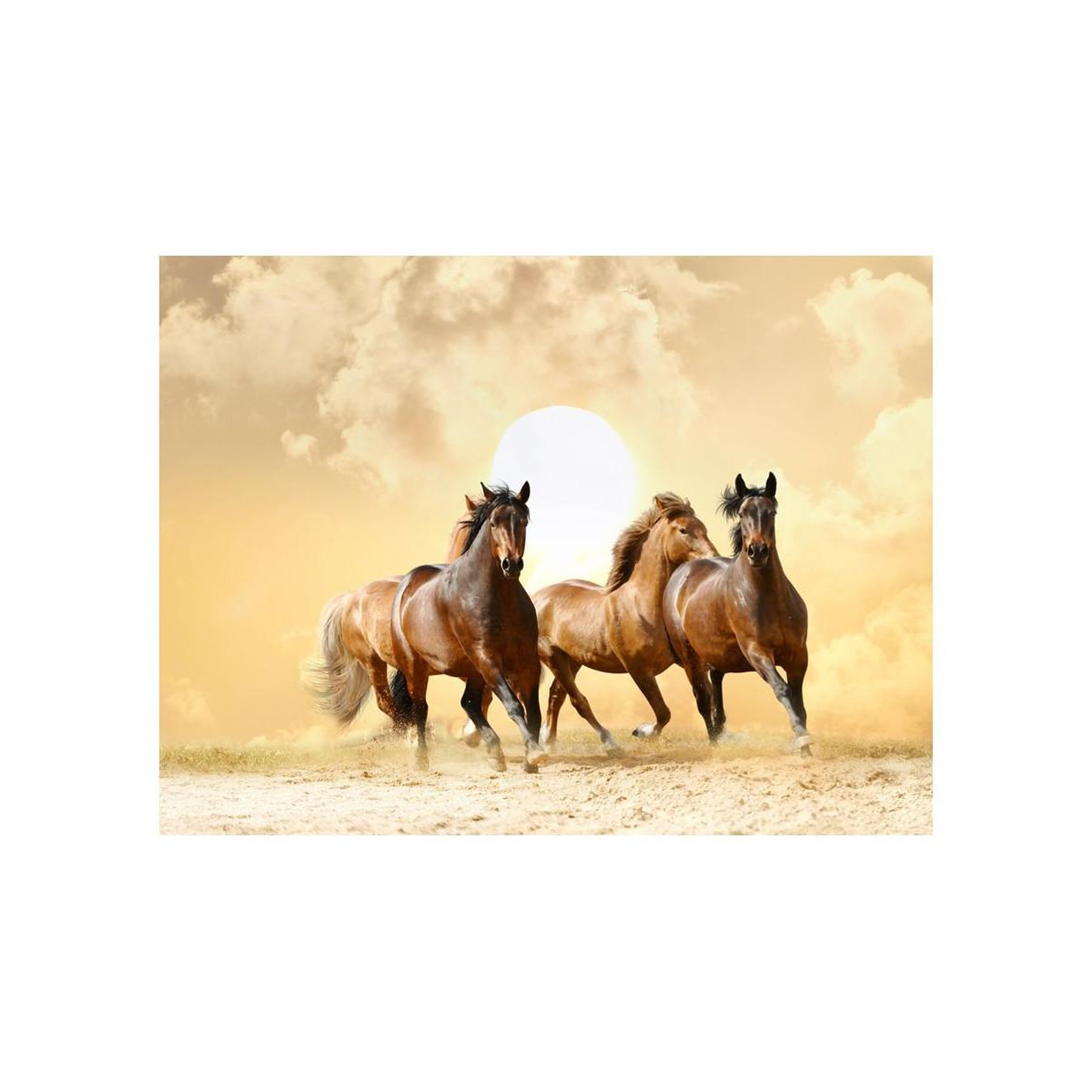 Voir la diapositive 2 : Paris Prix Papier Peint  Chevaux au Galop