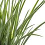 Voir la diapositive 2 : ATMOSPHERA Plante Artificielle & Pot  Herbes  46cm Naturel