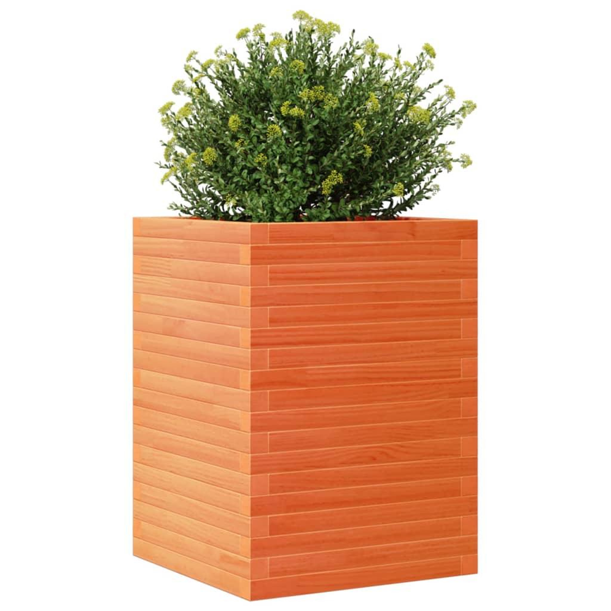 Voir la diapositive 4 : VIDAXL Jardiniere cire marron 50x50x68,5 cm bois de pin massif