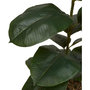 Voir la diapositive 4 : ATMOSPHERA Ficus Artificiel en Pot  Sky  145cm Vert
