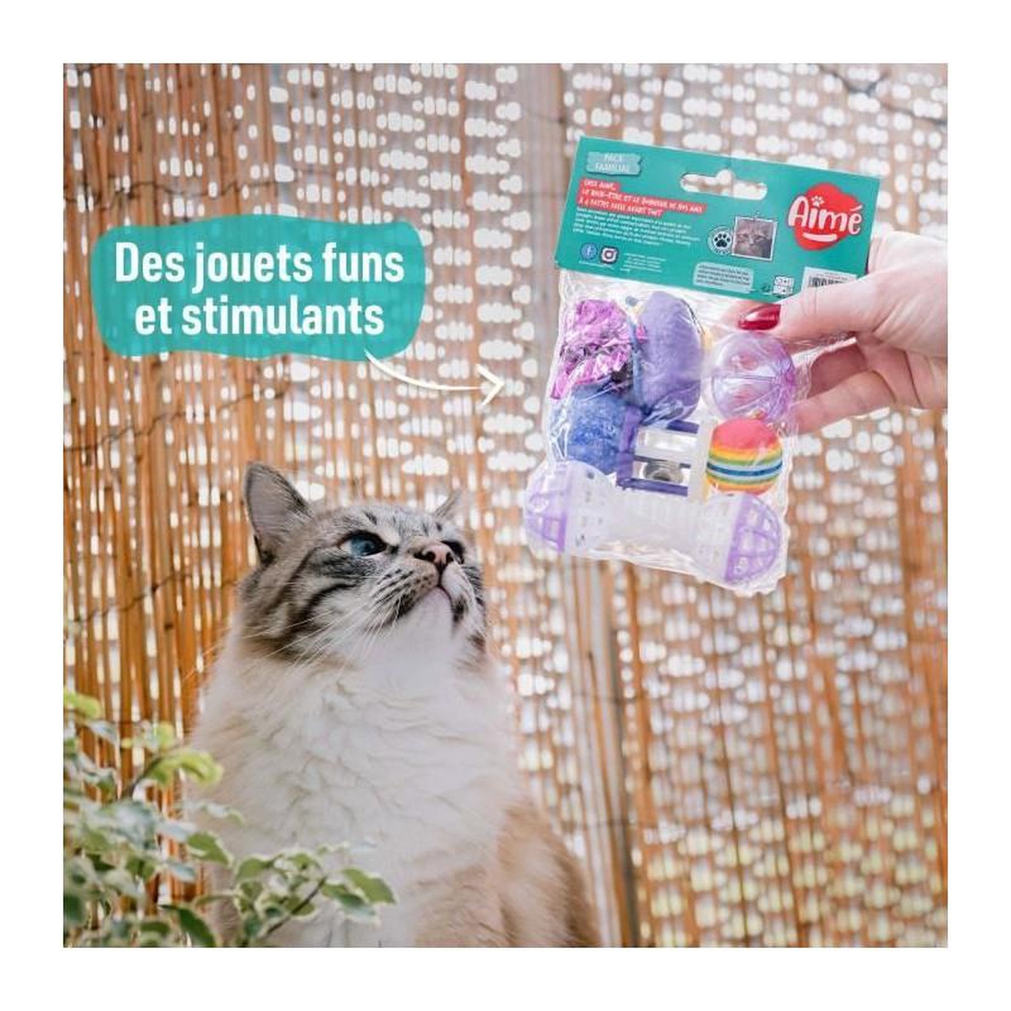 Voir la diapositive 3 : AIME 7 jouets pour Chat - AIMÉ