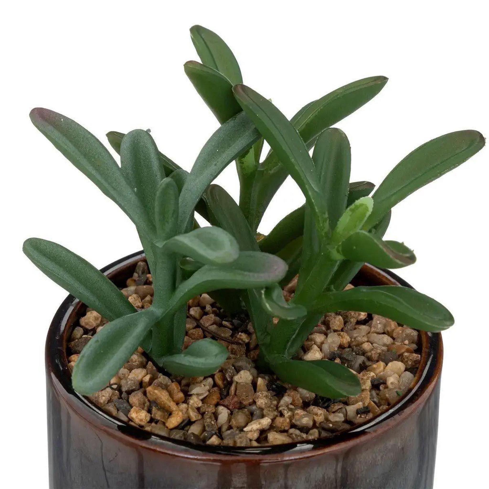 Voir la diapositive 2 : ATMOSPHERA Plante artificielle en pot déco  bota  14cm noir