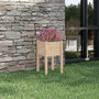 Voir la diapositive 1 : VIDAXL Jardiniere d'exterieur 40x40x70 cm bois de pin massif