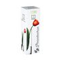 Voir la diapositive 3 : ATMOSPHERA Vase Cylindrique  Flora  26cm Transparent