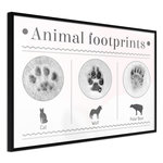 Paris Prix Affiche Murale Encadrée  How to Recognize an Animal. Coloris disponibles : Jaune, Noir