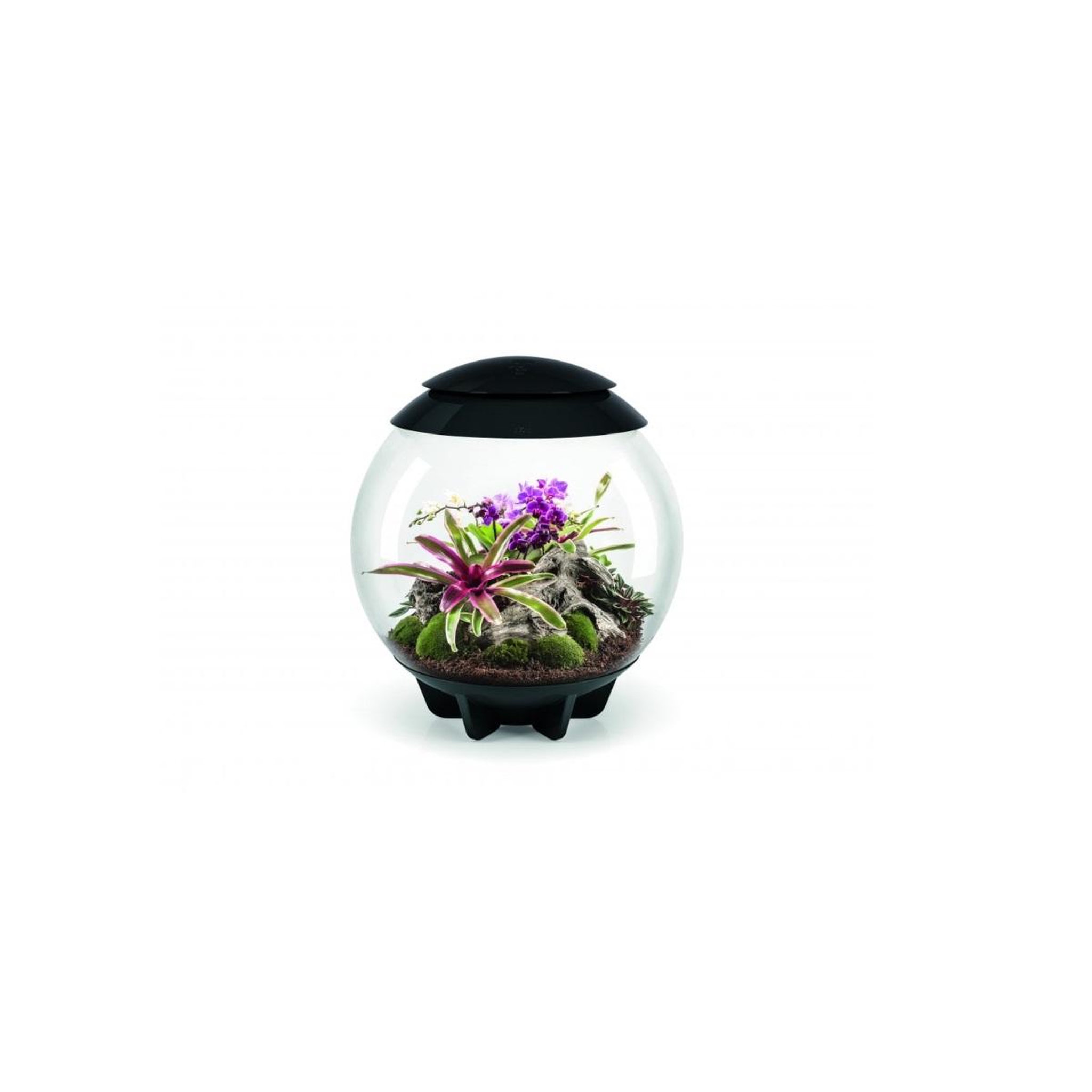 Oase Terrarium décoratif 60l avec cadre noir - air 60 black