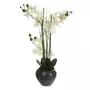 ATMOSPHERA Composition Florale & Vase  Orchidée  53cm Gris