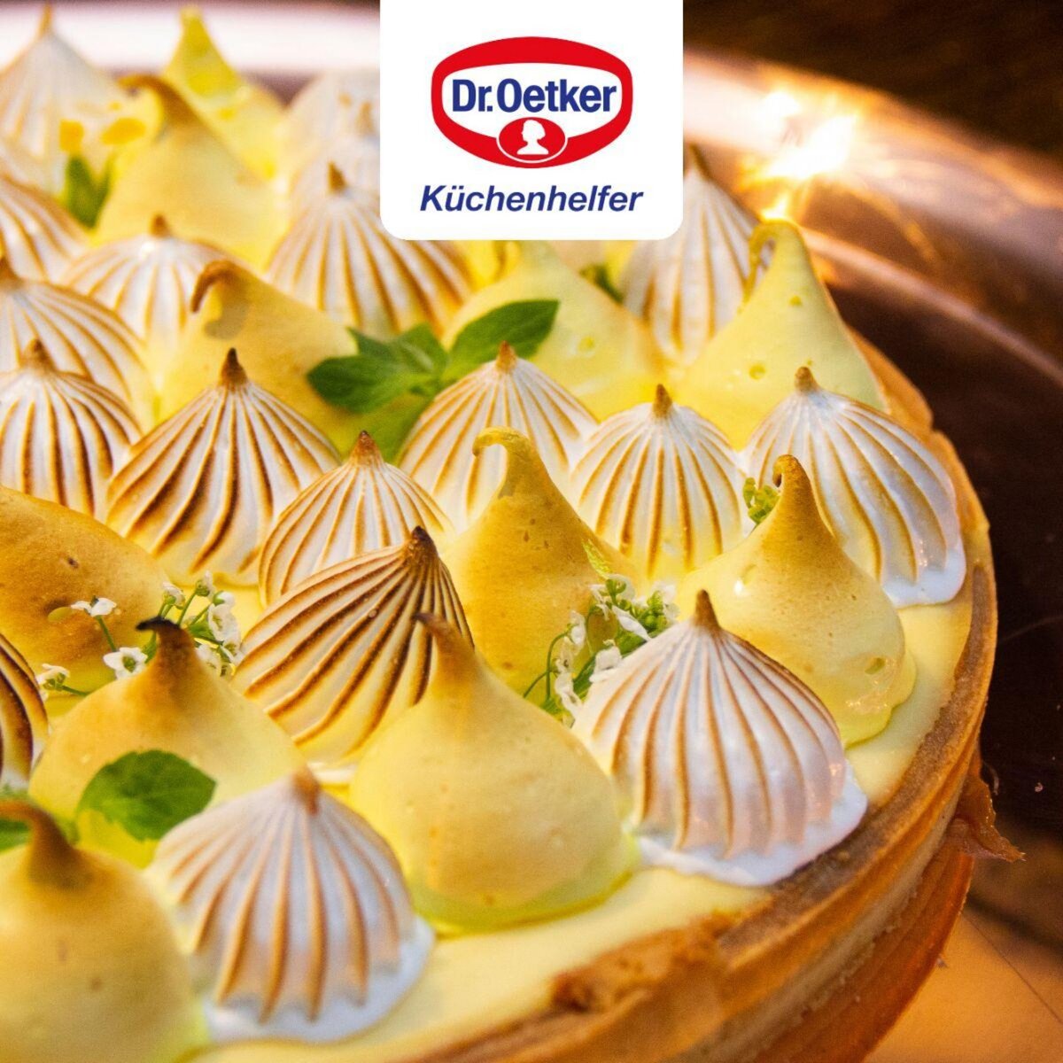 DR.OETKER Plat à four pour tartes et pizzas 32 cm Dr.Oetker Tradition