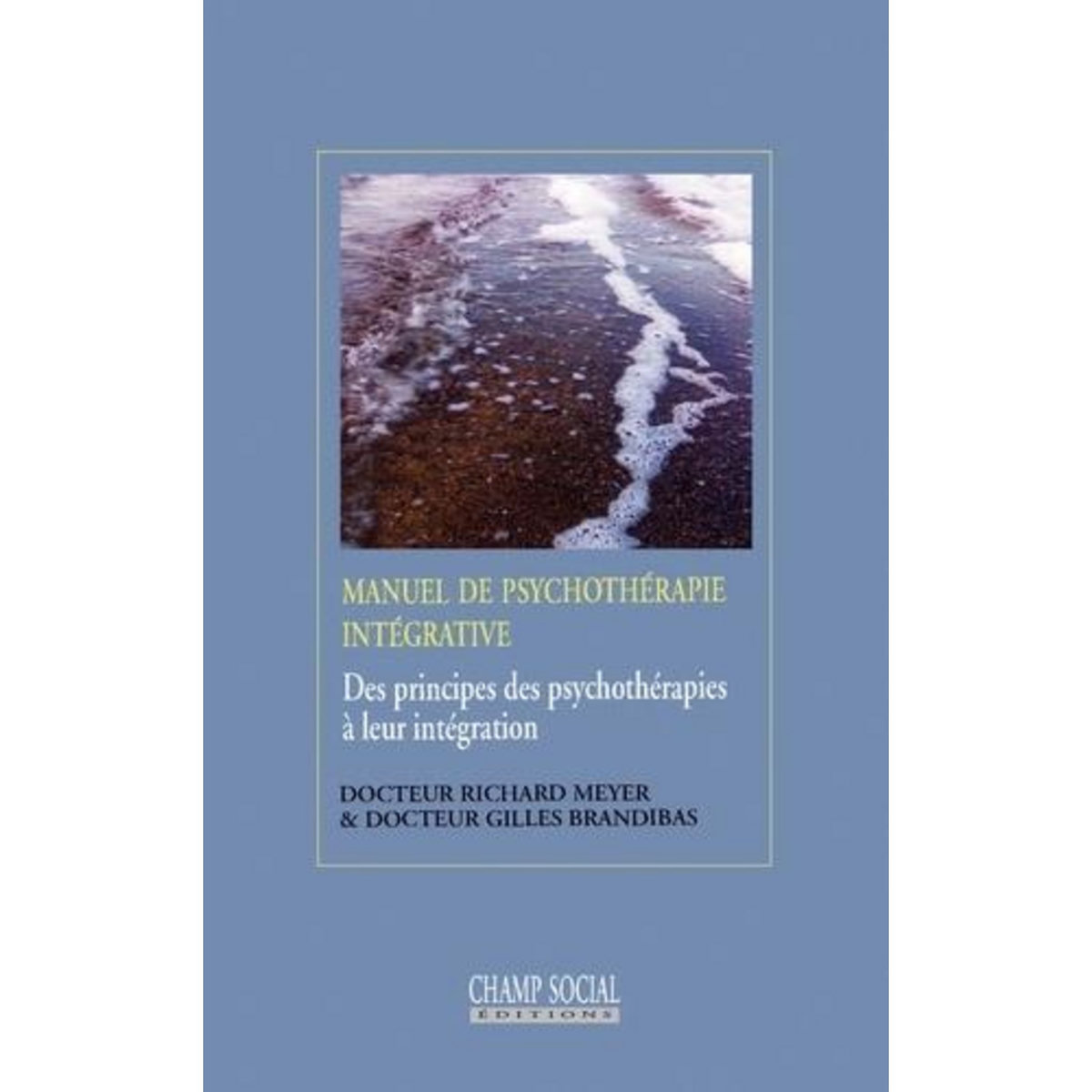 MANUEL DE PSYCHOTHERAPIE INTEGRATIVE. DES PRINCIPES DE PSYCHOTHERAPIES A LEUR INTEGRATION, Meyer Richard