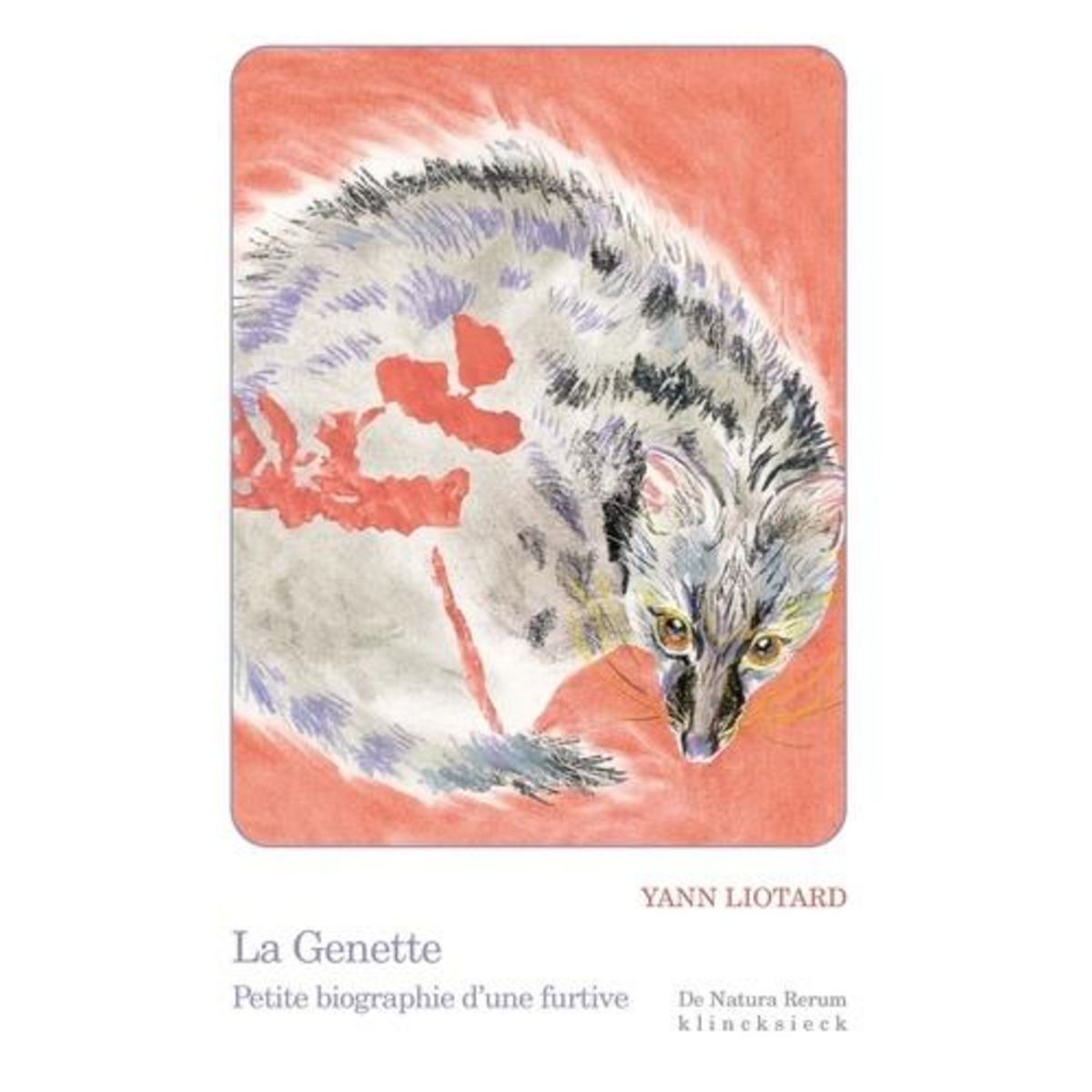 LA GENETTE. PETITE BIOGRAPHIE D'UNE FURTIVE, Liotard Yann