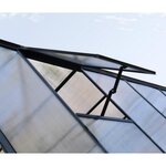 Palram Lucarne de toit pour serre - 701770