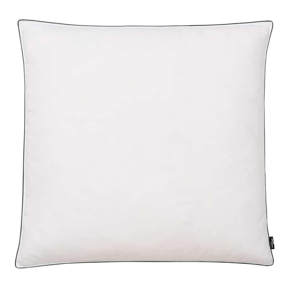 VIDAXL Oreiller lot de 2 Remplissage de duvet leger 80 x 80 cm Blanc