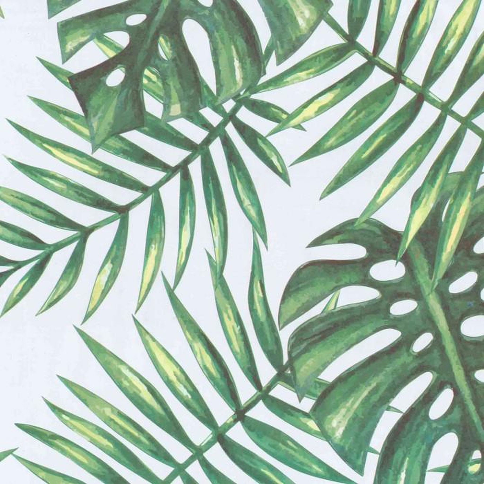 Paris Prix Rouleau Adhésif  Tropical  45x200cm Vert
