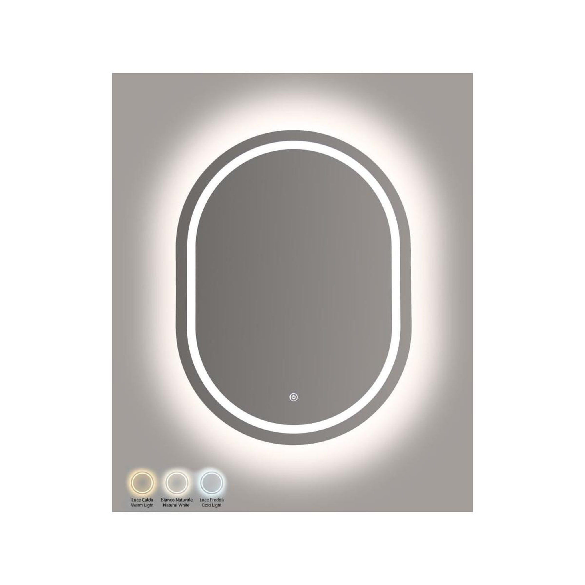 Voir la diapositive 6 : Paris Prix Miroir mural led ovale  simple  80cm argent