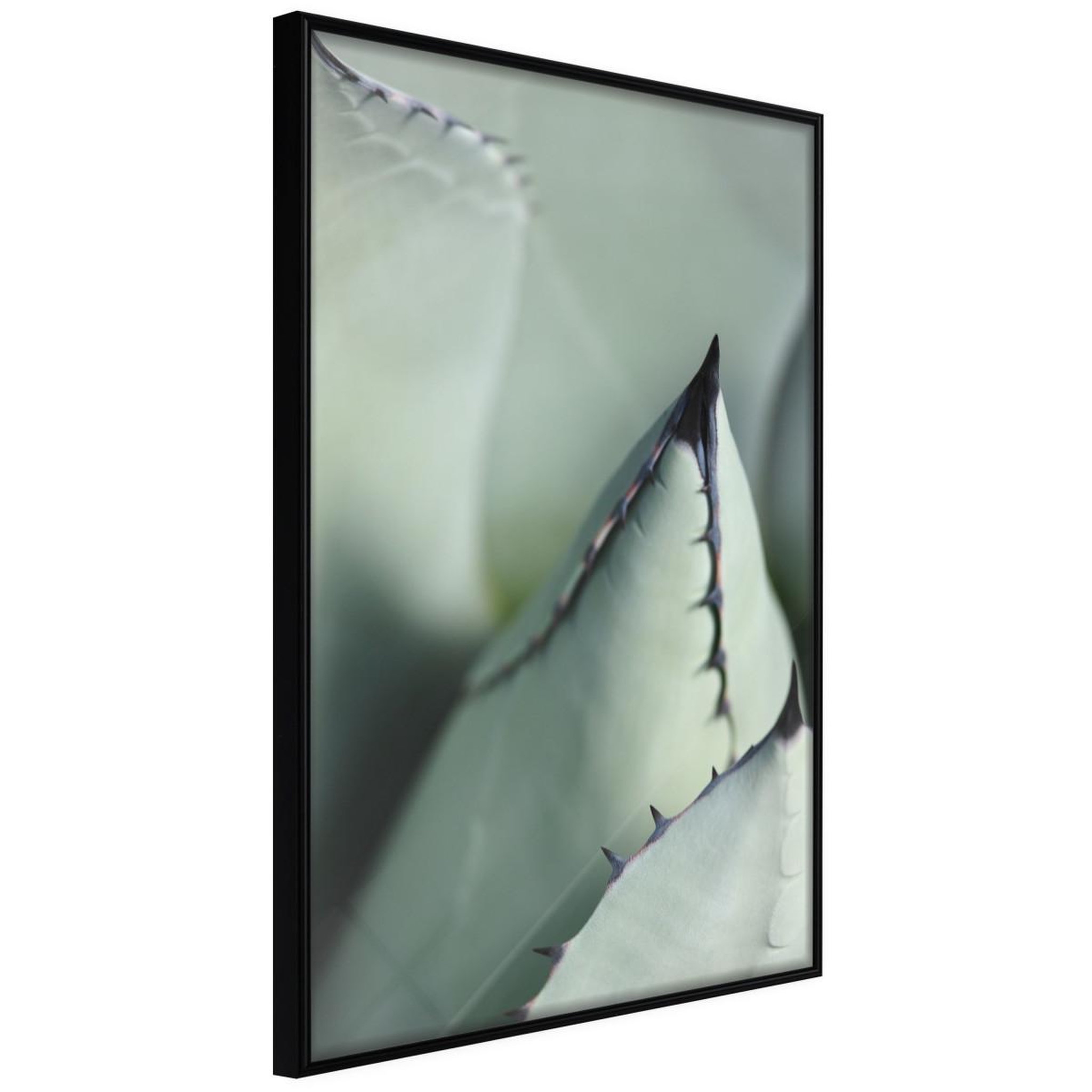 Paris Prix Affiche murale encadrée  young leaf of agave. Coloris disponibles : Jaune, Noir