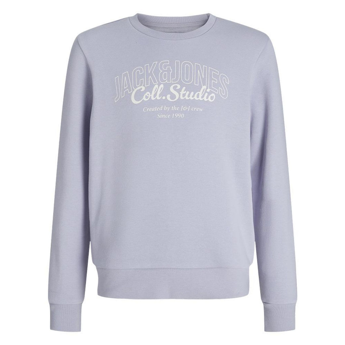 Jack & Jones Sweat Mauve Garçon Jack & Jones Makoto