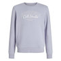 Voir la diapositive 1 : Jack & Jones Sweat Mauve Garçon Jack & Jones Makoto