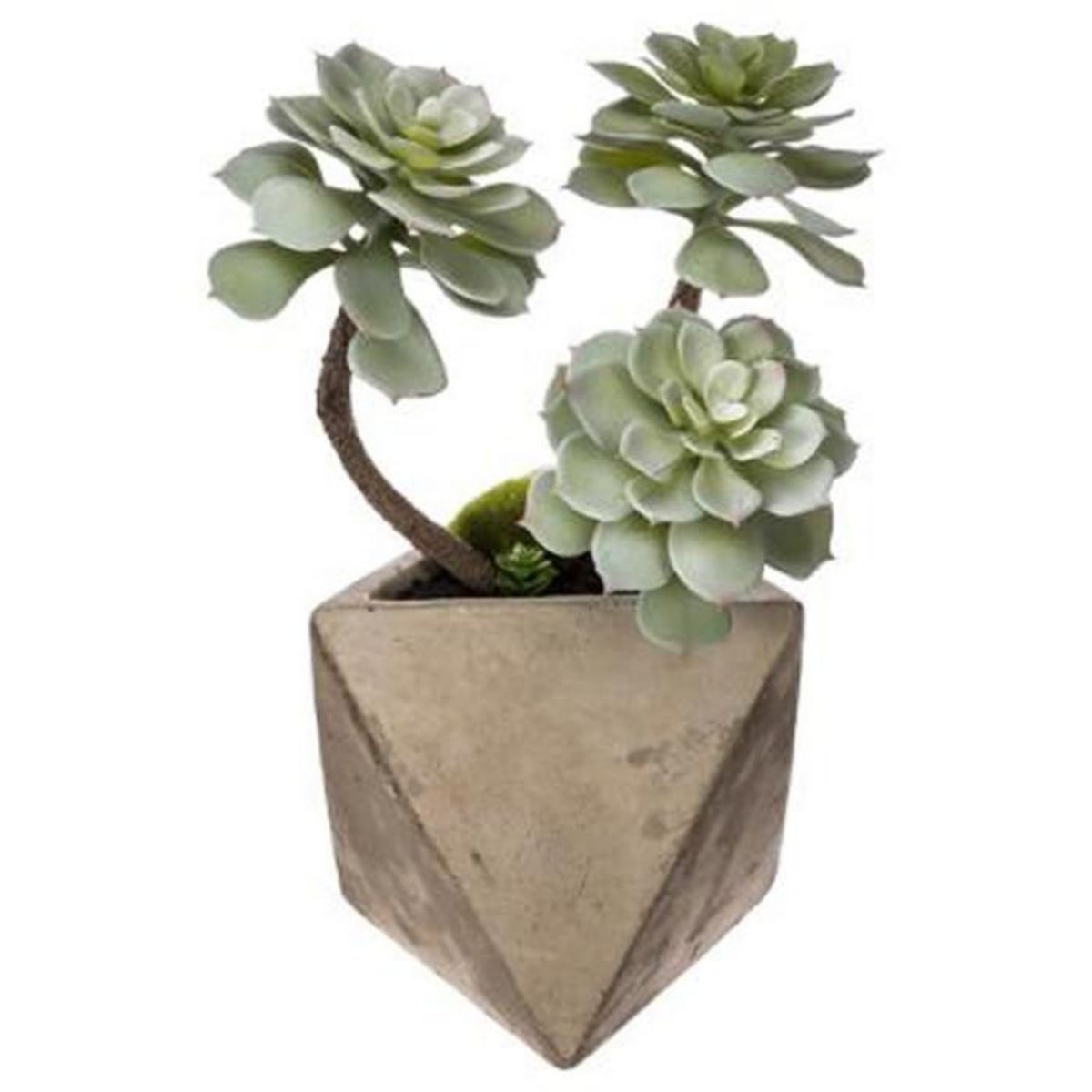 Paris Prix Plante Grasse Artificielle  Geom  30cm Naturel