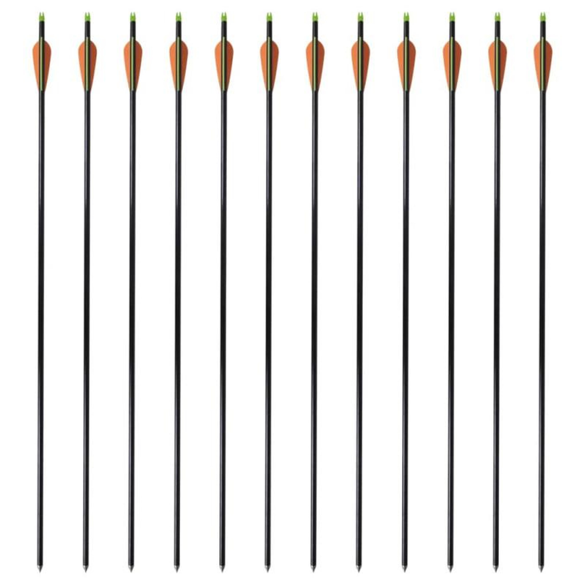 Voir la diapositive 2 : VIDAXL Flèche d arc à poulies standard 12pcs 30 0,8 cm fibre de verre