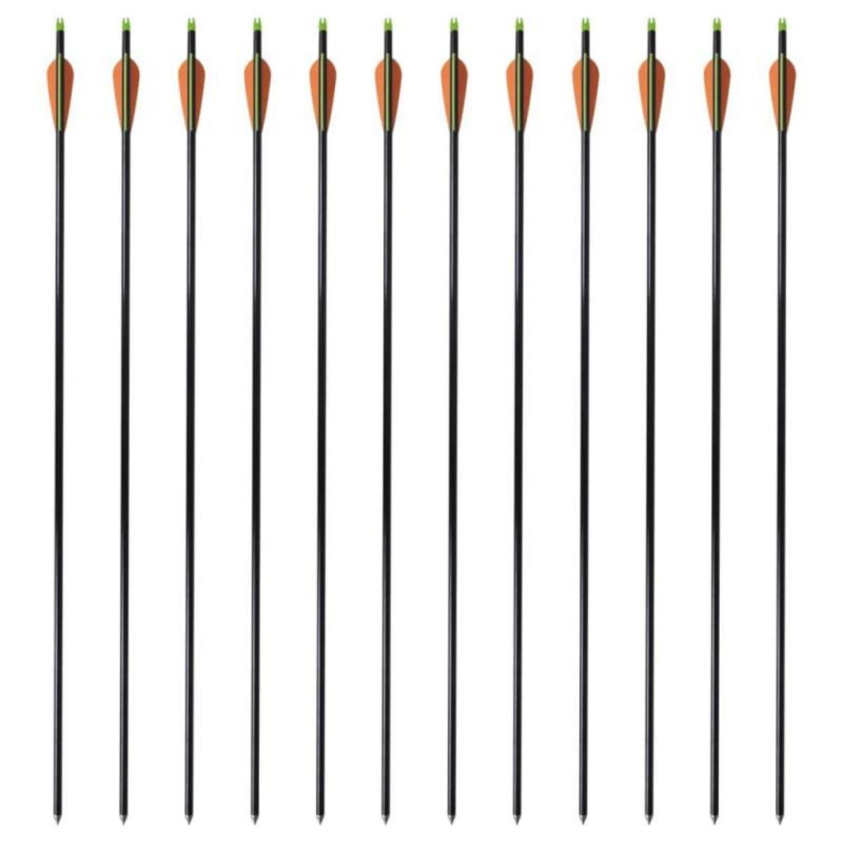 VIDAXL Flèche d arc à poulies standard 12pcs 30 0,8 cm fibre de verre