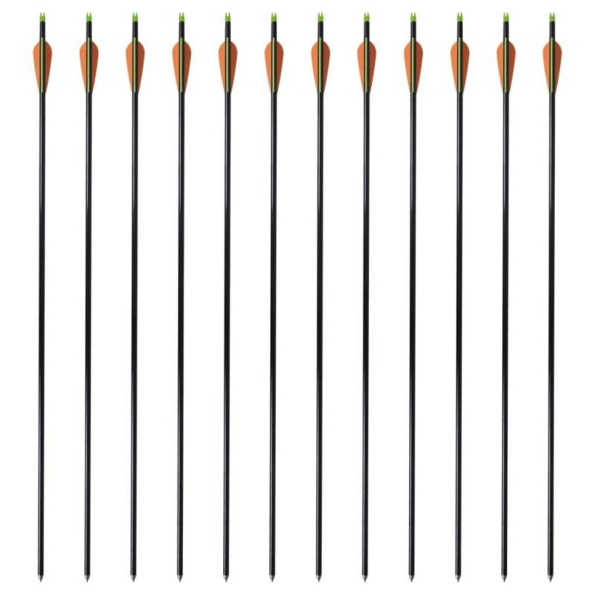 VIDAXL Flèche d arc à poulies standard 12pcs 30 0,8 cm fibre de verre