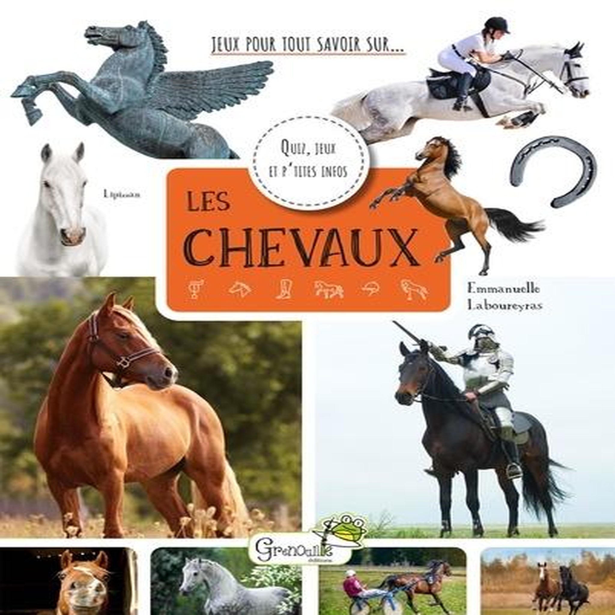 LES CHEVAUX. QUIZ, JEUX ET P'TITES INFOS, Laboureyras Emmanuelle