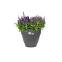 Voir la diapositive 5 : ELHO Pot de fleurs rond Vibia Campana - Ø 47 x H.40 cm - Anthracite - Elho