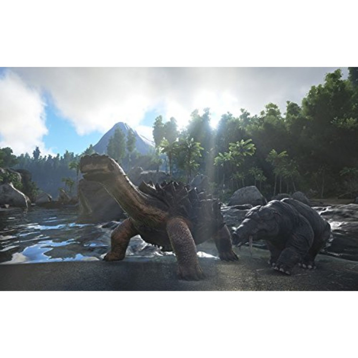 Ark : Survival Evolved SWITCH