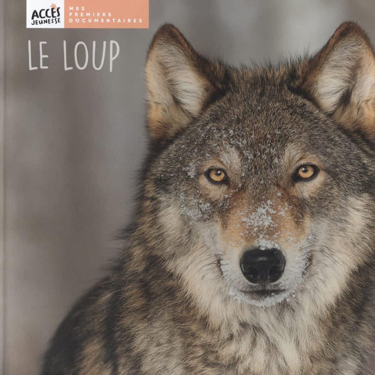 LE LOUP, Schneider Léa