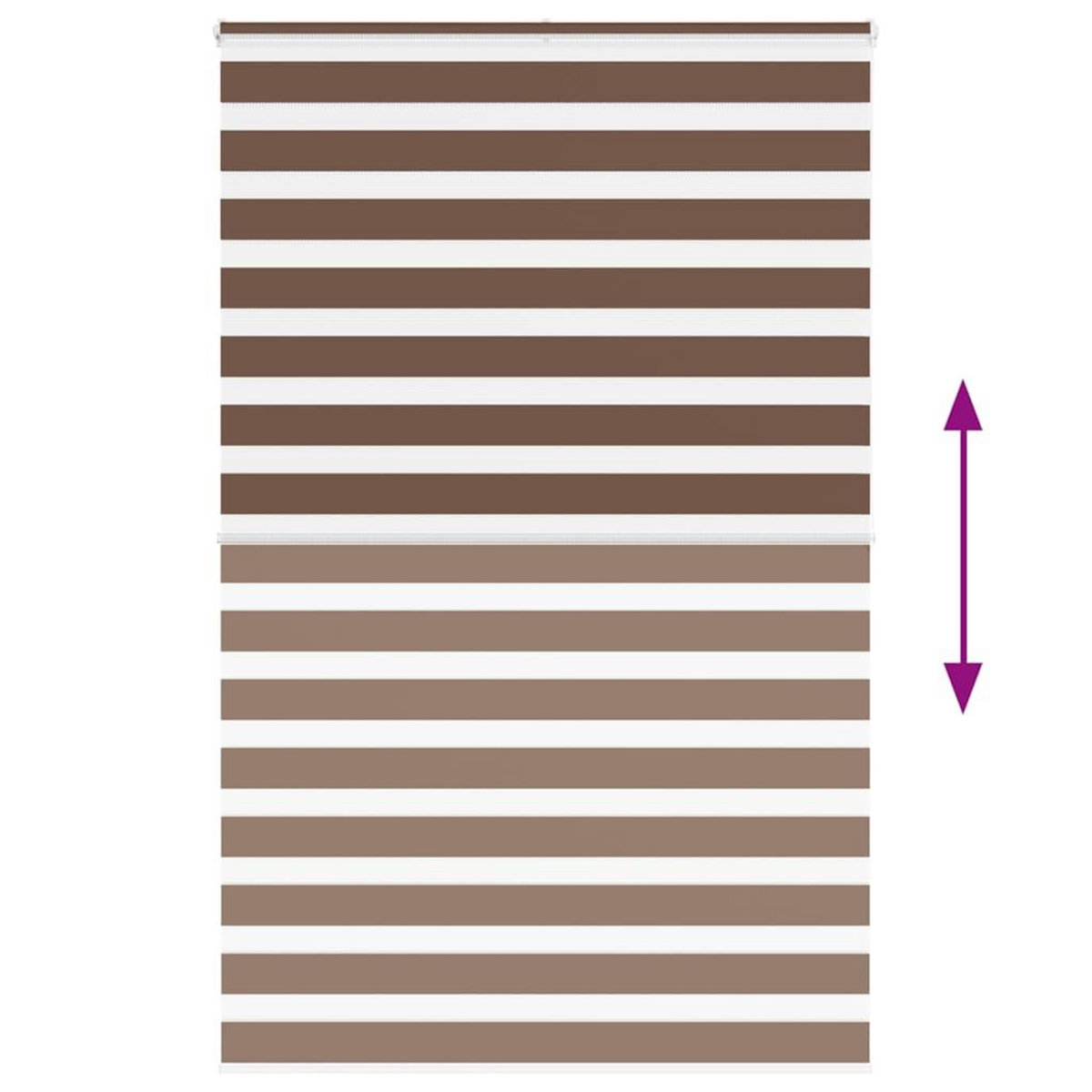 VIDAXL Store zebre marron 150x200cm largeur du tissu 145,9cm polyester