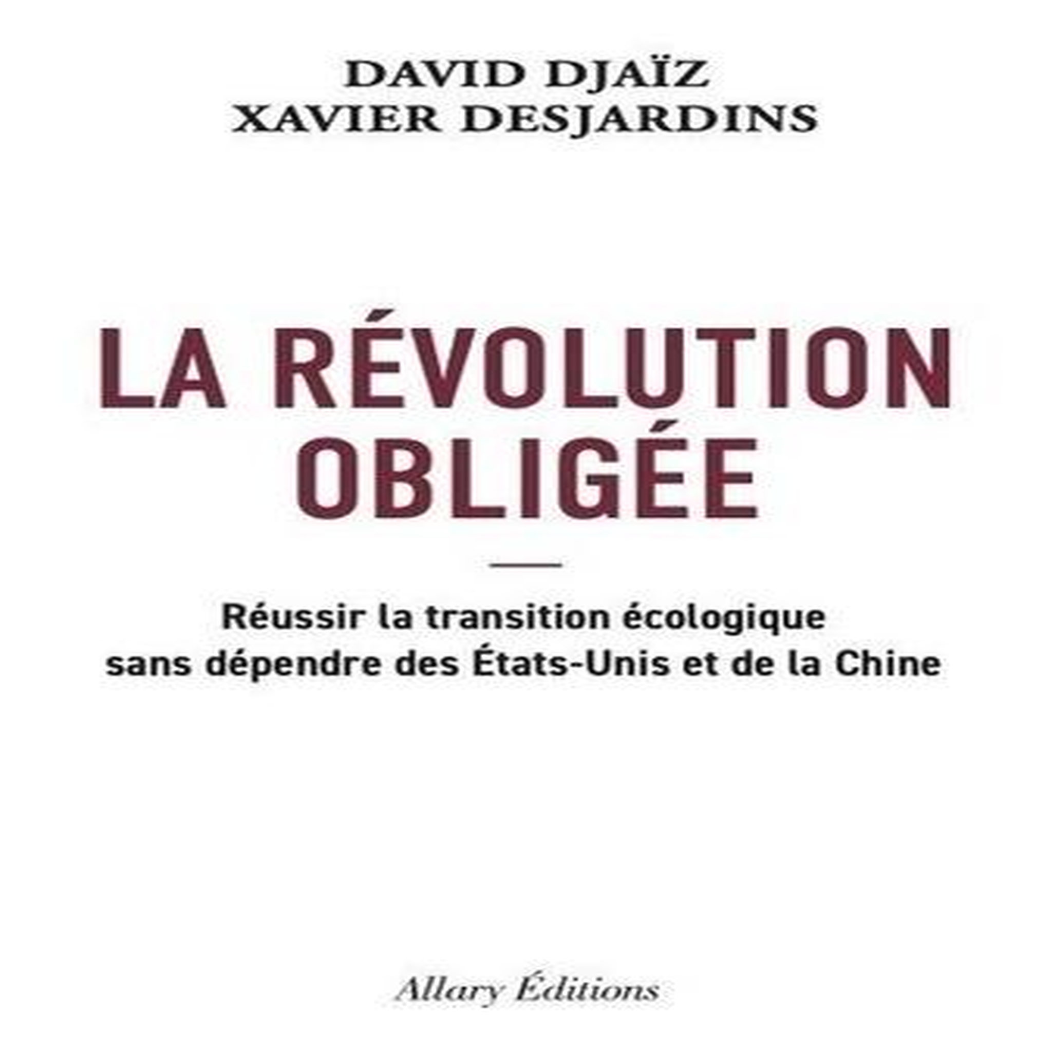 LA REVOLUTION OBLIGEE, Djaïz David