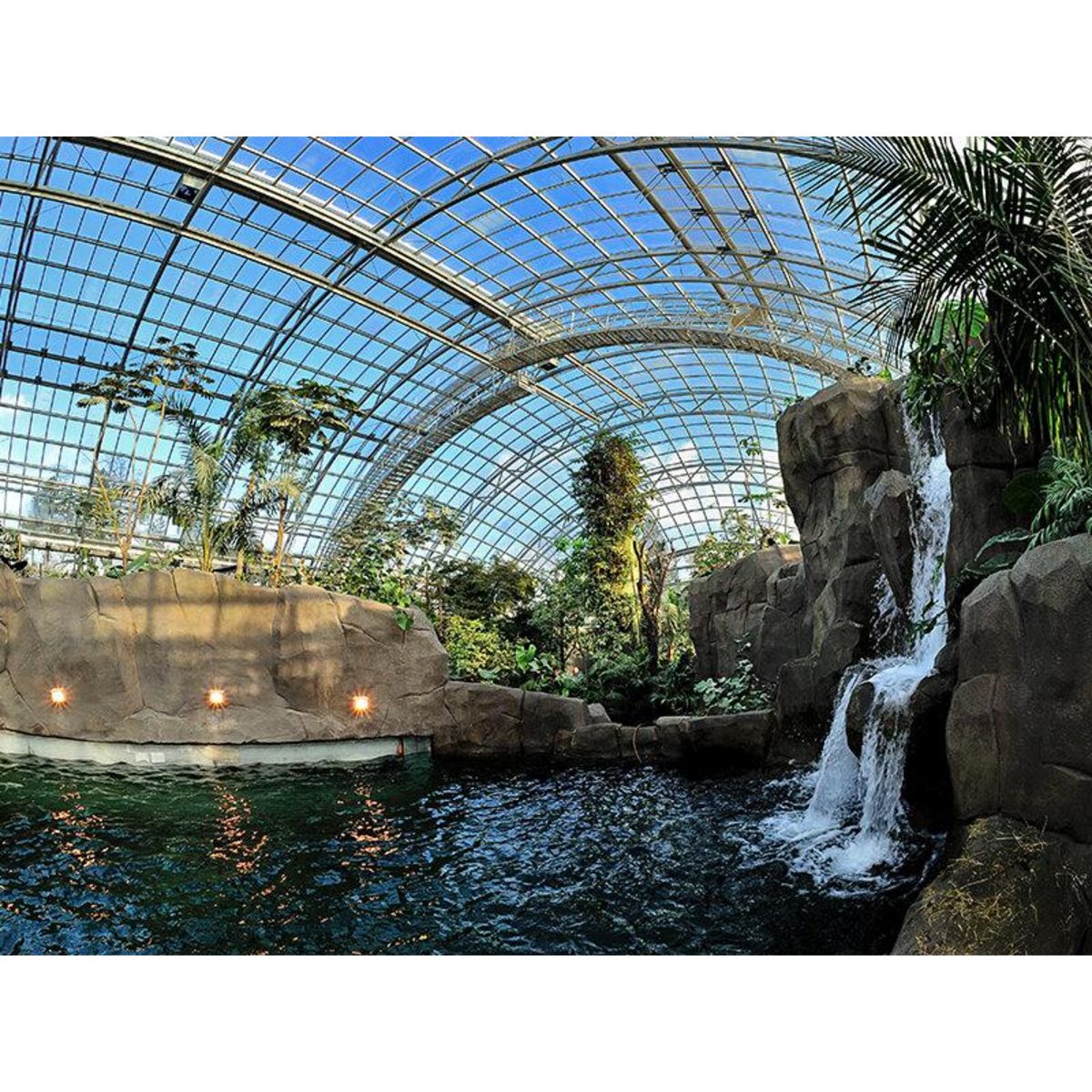 Smartbox Activité en famille : entrée pour 2 adultes et 2 enfants au Parc Zoologique de Paris - Coffret Cadeau Sport & Aventure