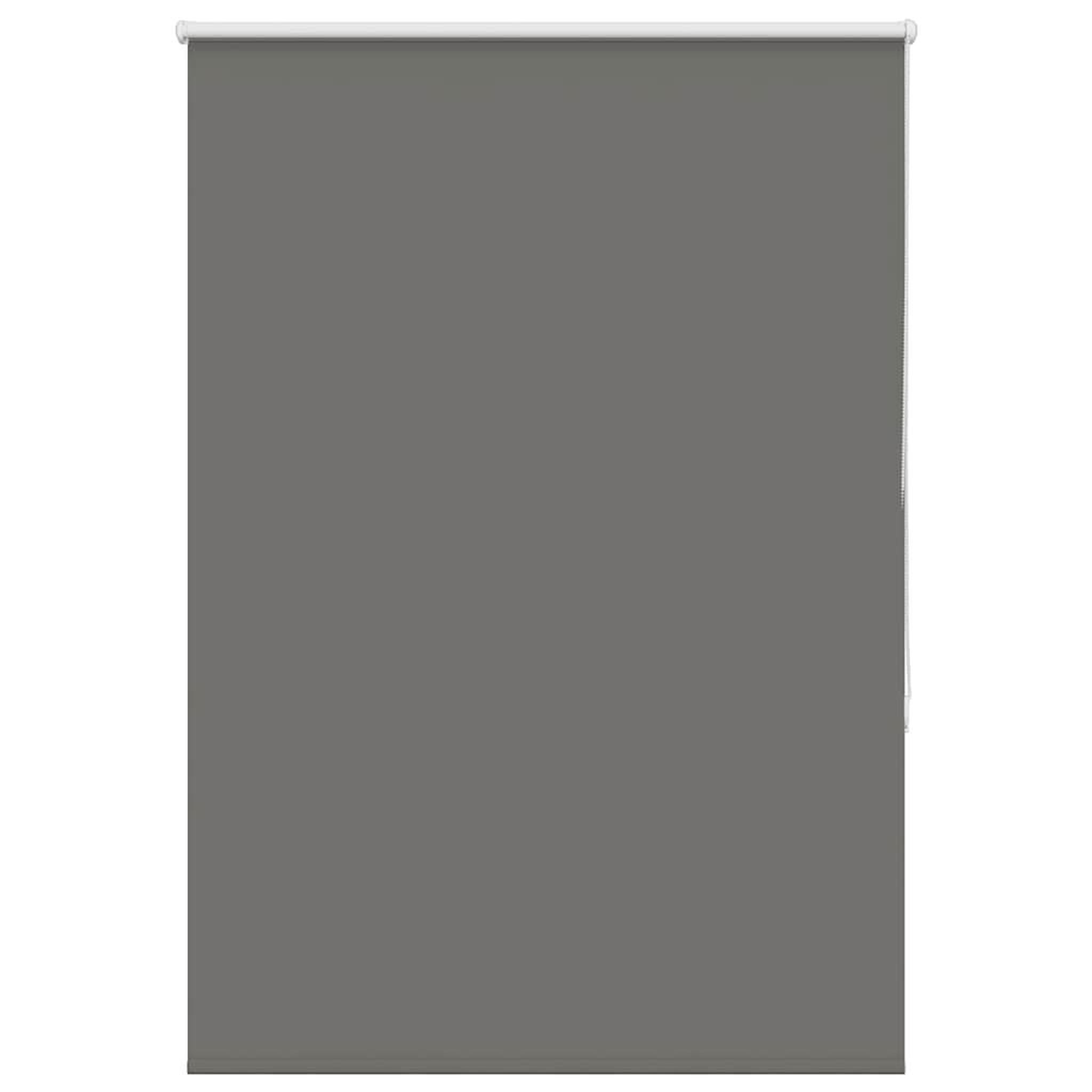 Voir la diapositive 2 : VIDAXL Store enrouleur occultant largeur du tissu 85,7 cm polyester