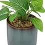  Plante Artificielle en Pot  Reac  16cm Bleu & Vert