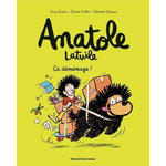 ANATOLE LATUILE TOME 9 : CA DEMENAGE !, Didier Anne