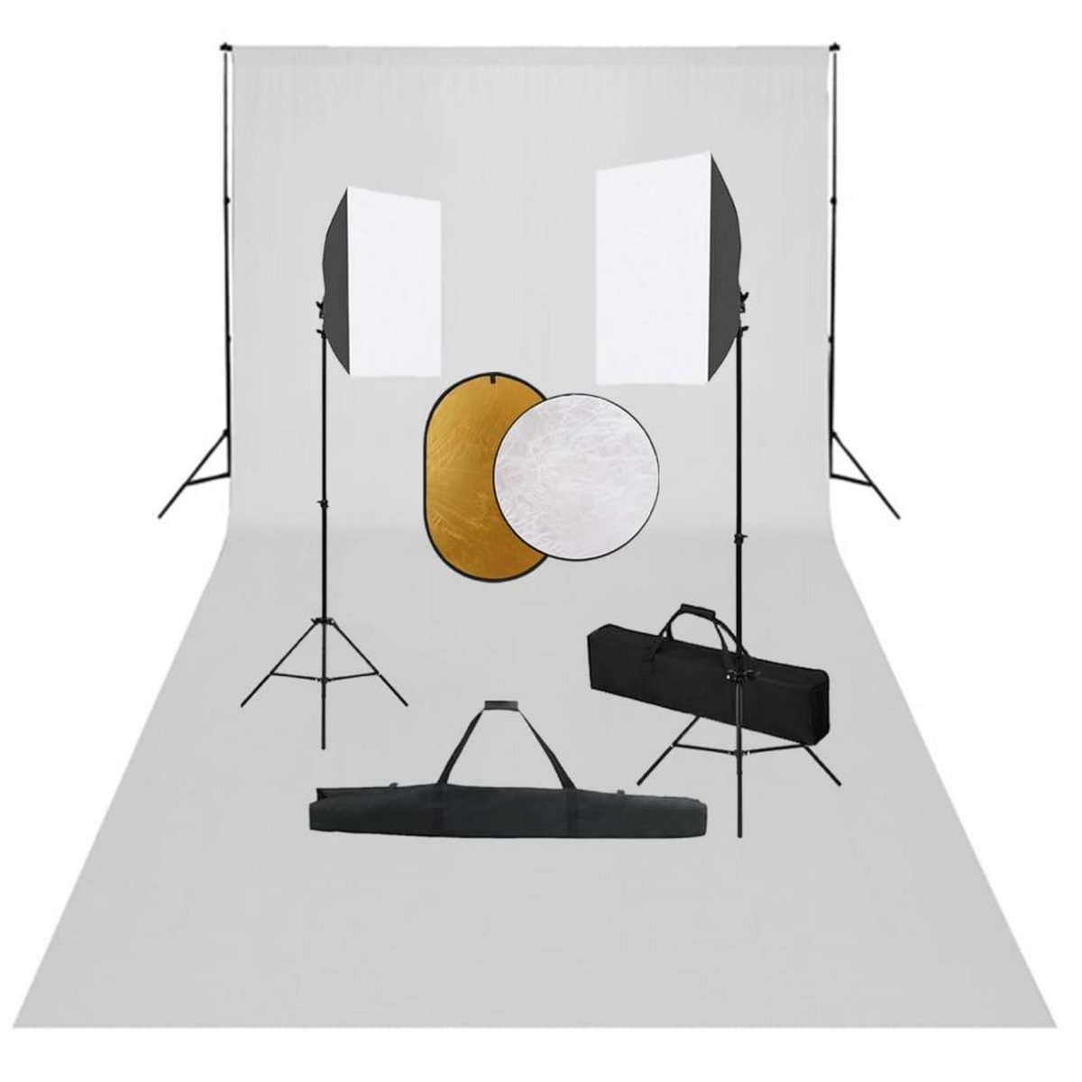 VIDAXL Kit de studio photo boîtes a lumiere toile de fond reflecteur